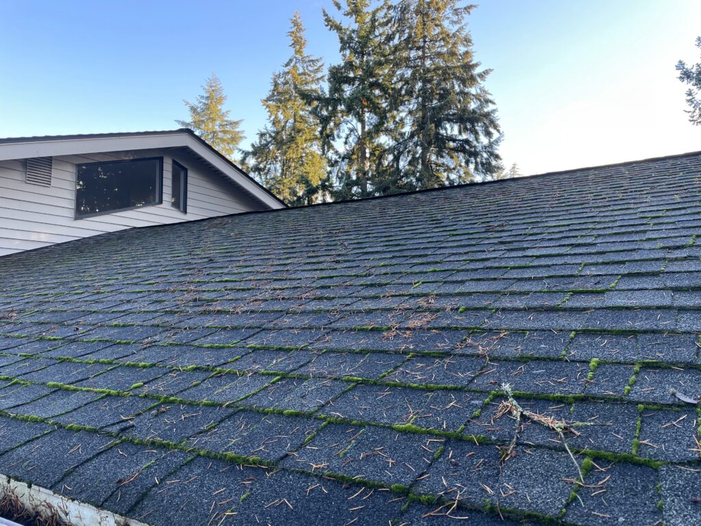 An image of a roof with dirty before FreeRain Gutter conducts maintenance to clean it.